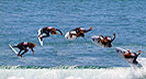 US OPEN SURFING